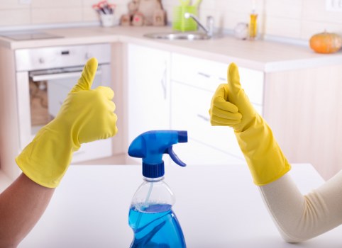 Steam carpet cleaning equipment in a Gunnersbury home
