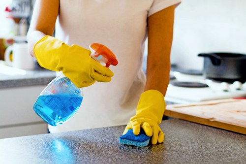 Deep cleaning equipment used for commercial carpet cleaning in Gunnersbury