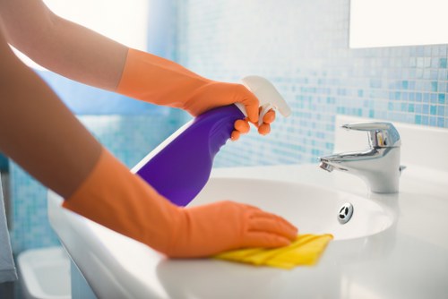 Steam carpet cleaning service in a Gunnersbury property