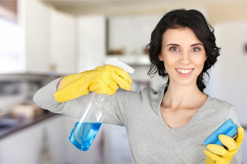 Deep cleaning equipment used for mattress cleaning in Gunnersbury