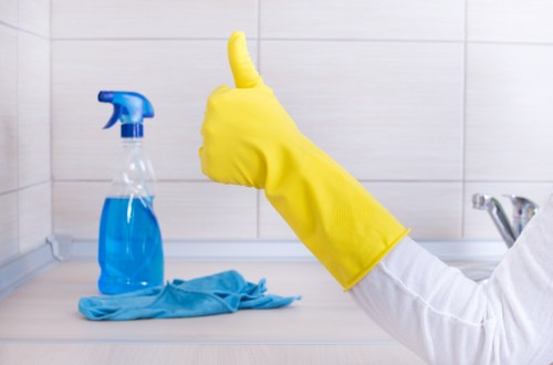 Deep carpet cleaning for pet stains in Gunnersbury