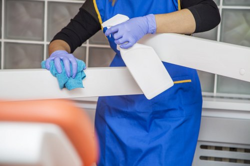 Upholstery cleaning process for a living room sofa